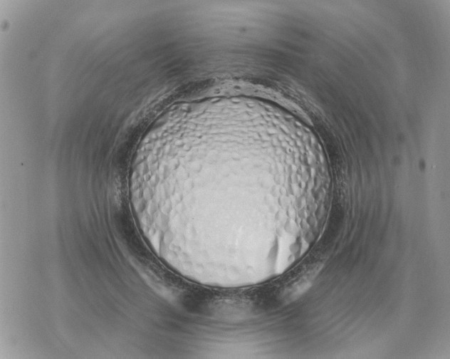 X0000070430644200606302127