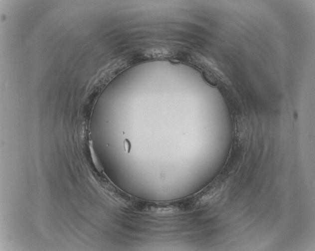 X0000070430645200606302127