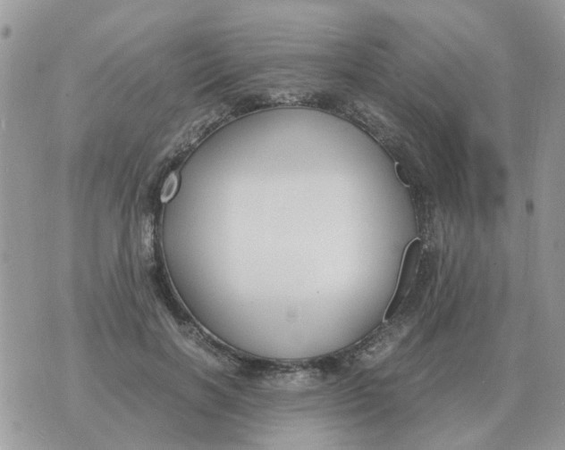 X0000070430646200606302127