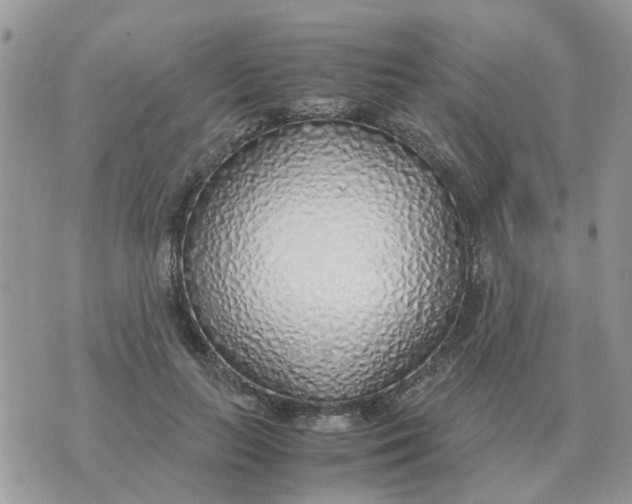 X0000070430647200606302127