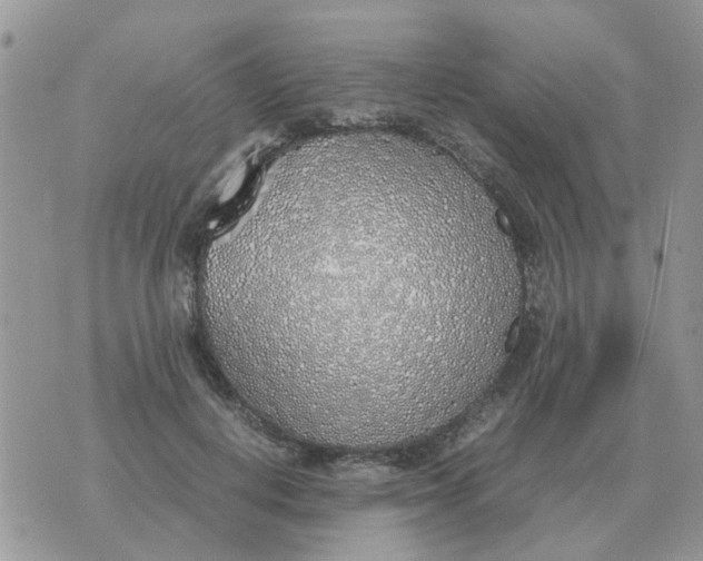 X0000070430648200606302127