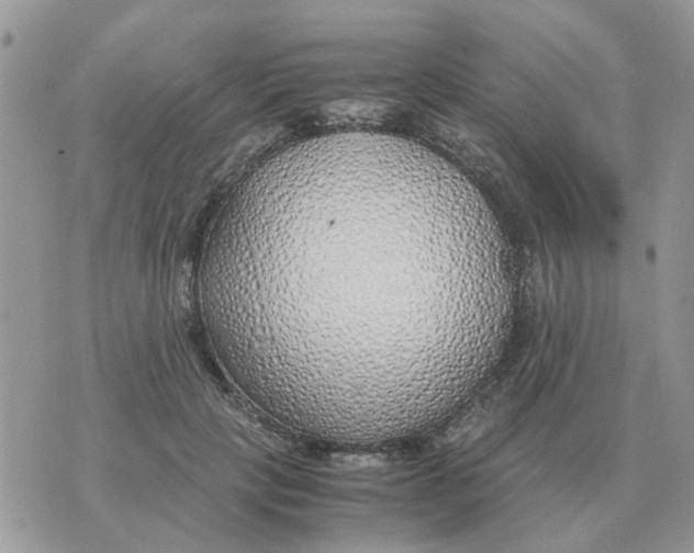 X0000070430649200606302127