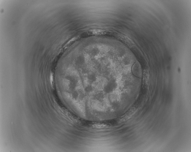 X0000070430650200606302127