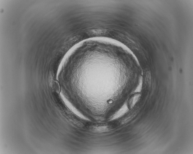 X0000070430651200606302127