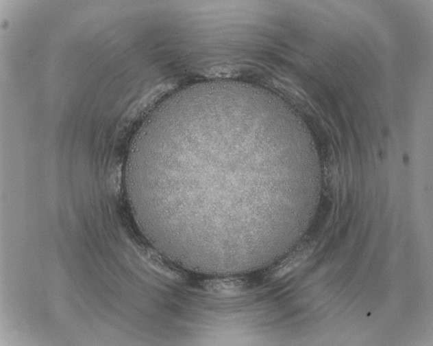 X0000070430652200606302127