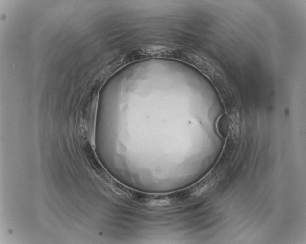 X0000070430653200606302127