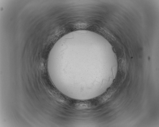 X0000070430655200606302127