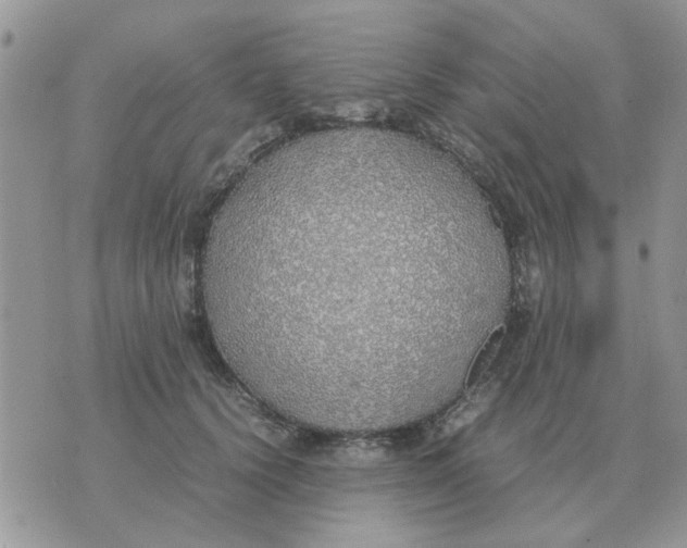 X0000070430656200606302127