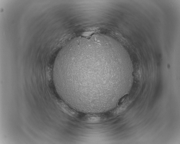 X0000070430658200606302127