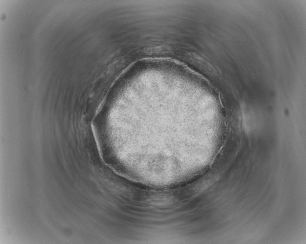 X0000070430659200606302127