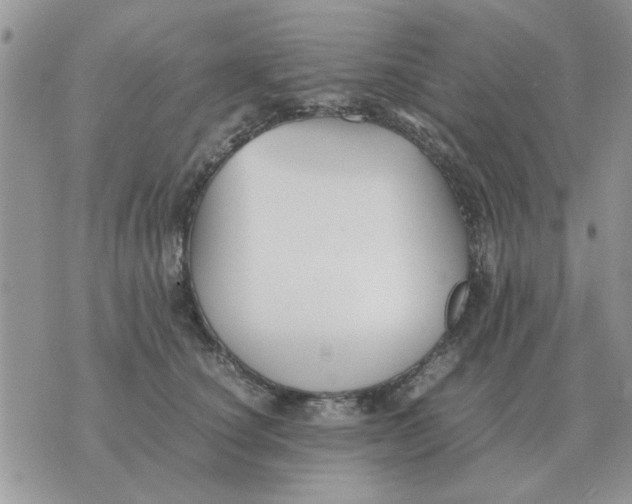 X0000070430660200606302127