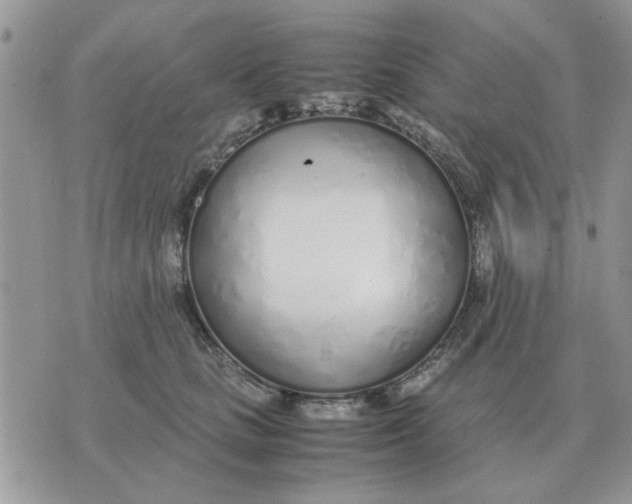 X0000070430661200606302127