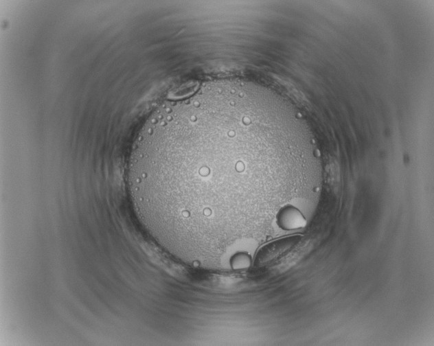 X0000070430662200606302127