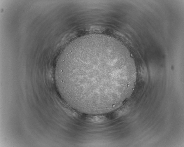 X0000070430663200606302127