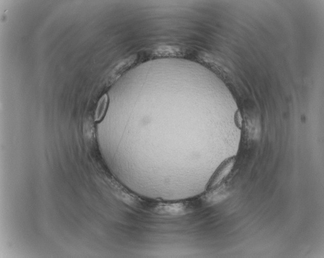 X0000070430665200606302127