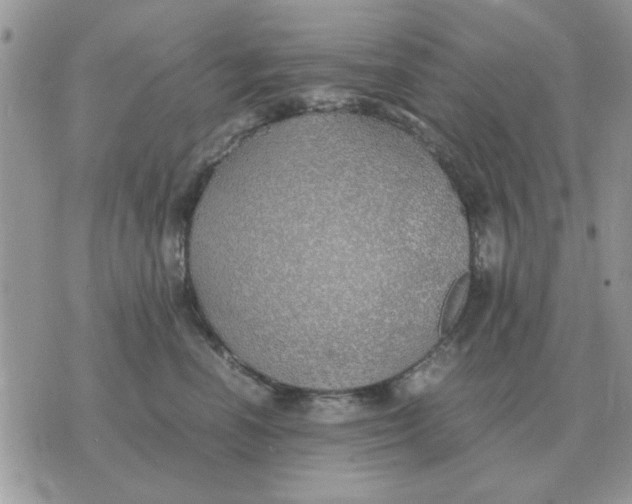 X0000070430666200606302127