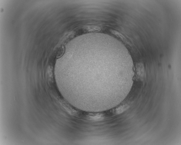 X0000070430667200606302128