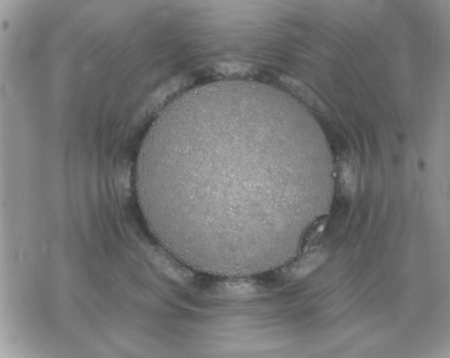 X0000070430668200606302128