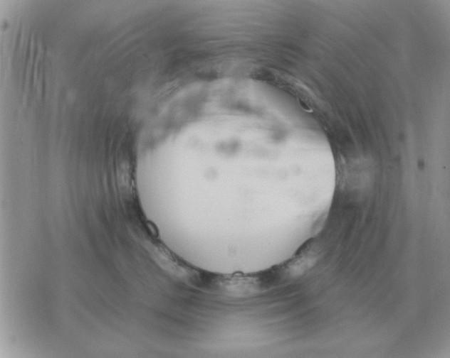 X0000070430670200606302128