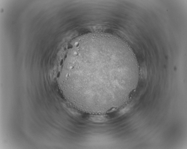 X0000070430671200606302128