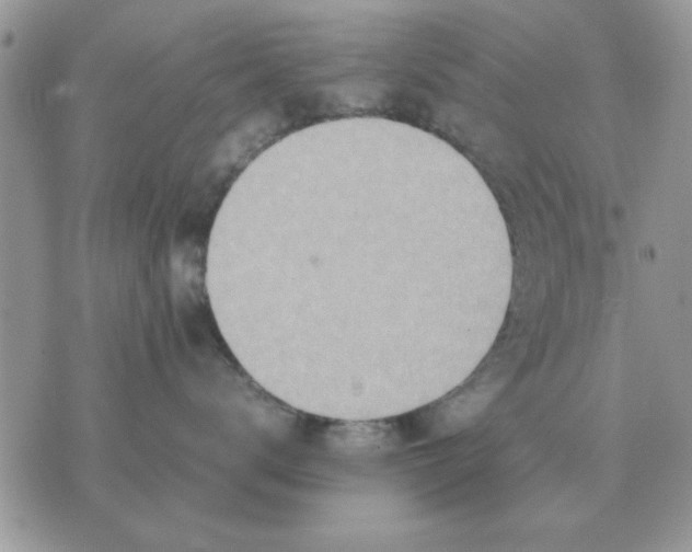 X0000070430672200606302128