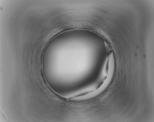 X0000070430673200606302127