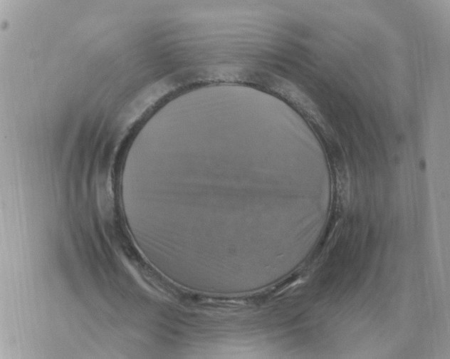 X0000070430674200606302127