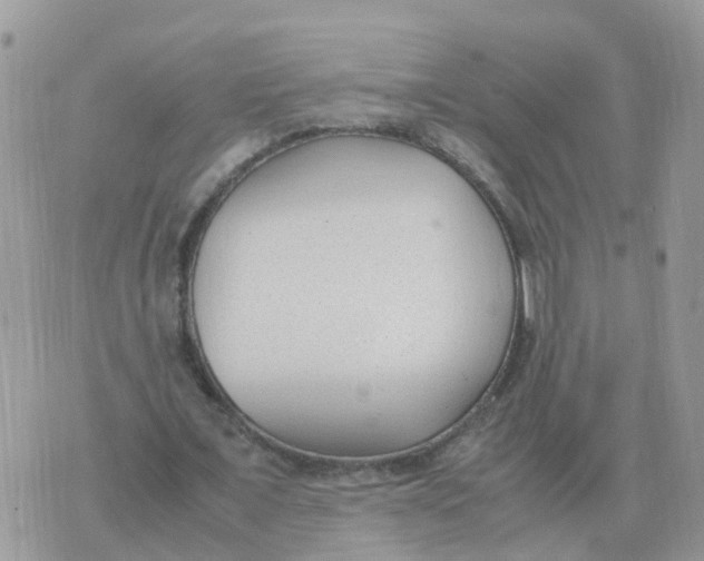 X0000070430675200606302127