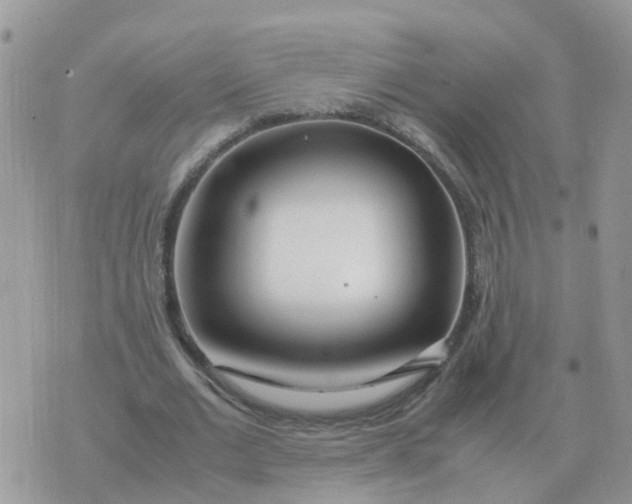 X0000070430677200606302127