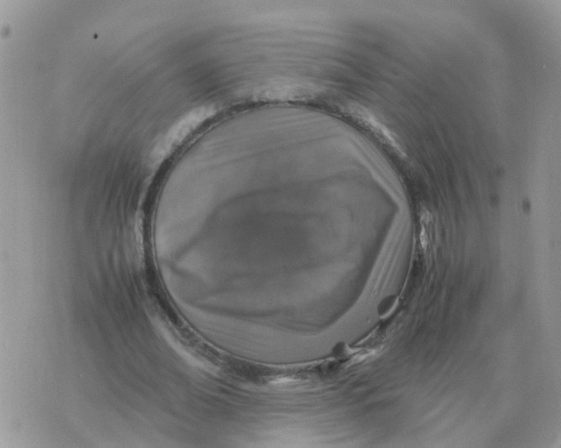 X0000070430678200606302127