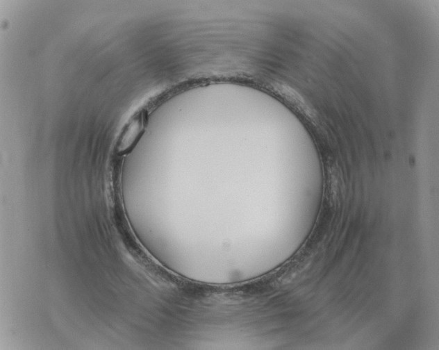 X0000070430680200606302127