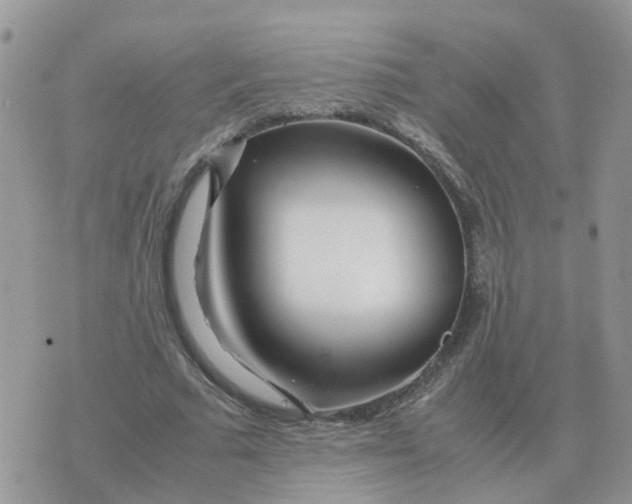 X0000070430681200606302127