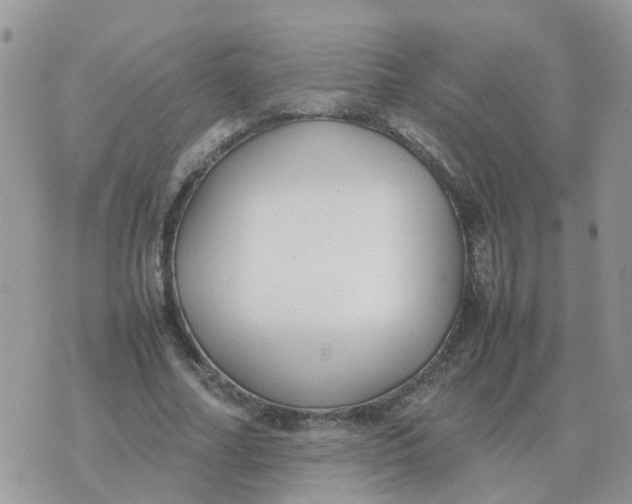 X0000070430682200606302127