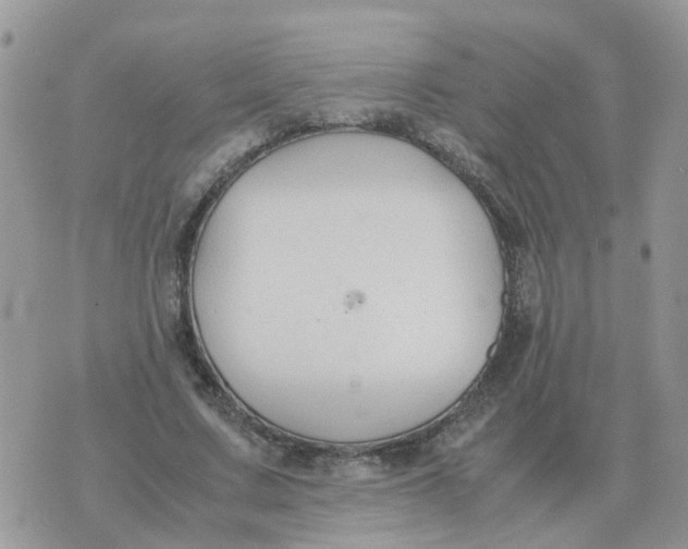 X0000070430683200606302127