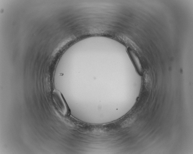 X0000070430684200606302127