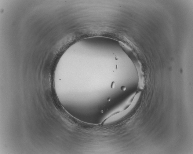 X0000070430685200606302127