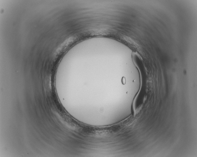 X0000070430686200606302127