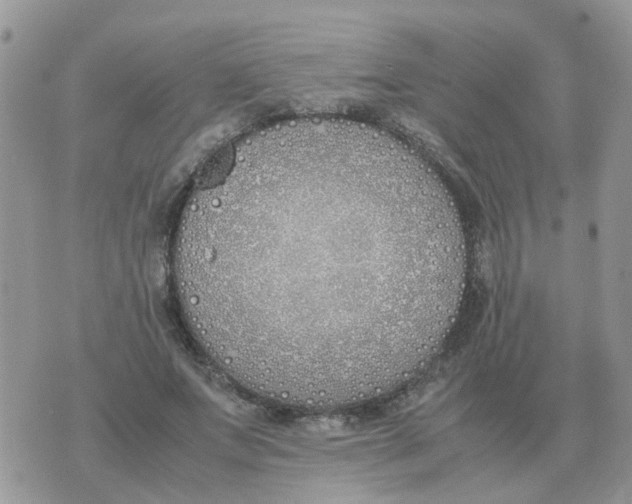 X0000070430687200606302127