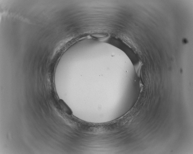 X0000070430688200606302127