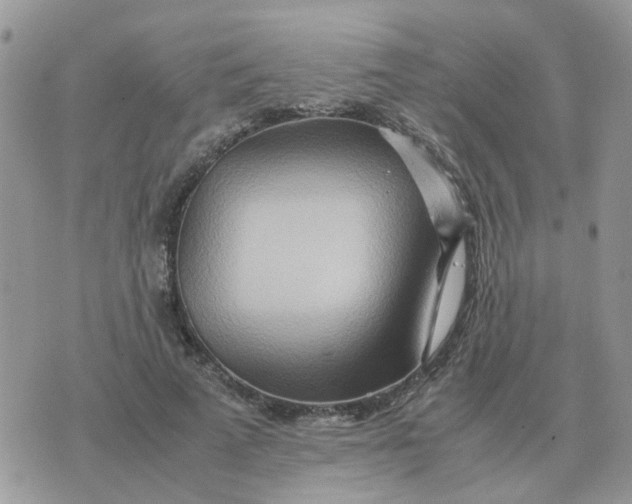 X0000070430689200606302127