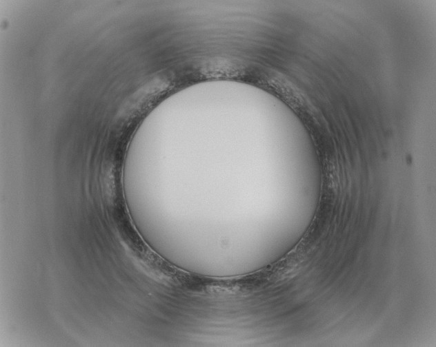 X0000070430690200606302127