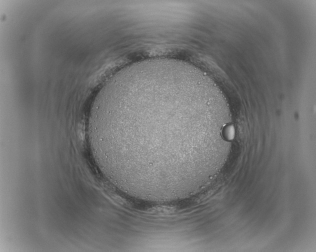 X0000070430691200606302127