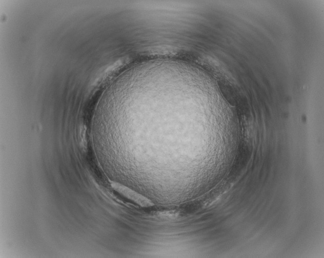 X0000070430692200606302126