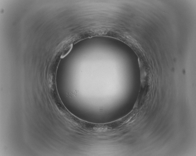 X0000070430693200606302126