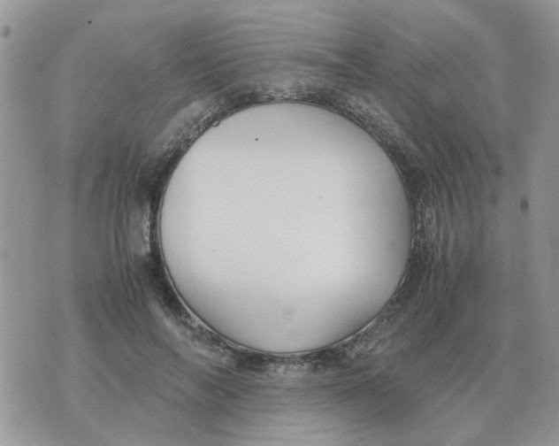 X0000070430694200606302126