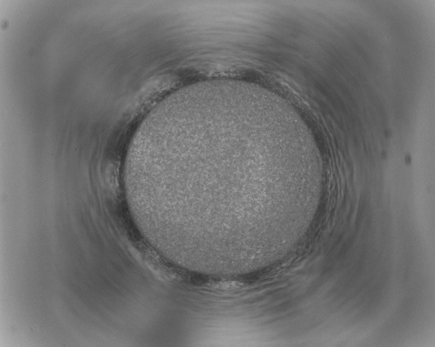 X0000070430695200606302126