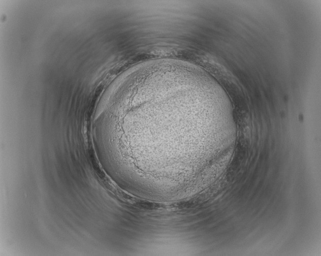 X0000070430696200606302126