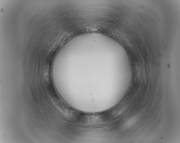 X0000070430698200606302126