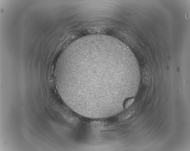 X0000070430699200606302126