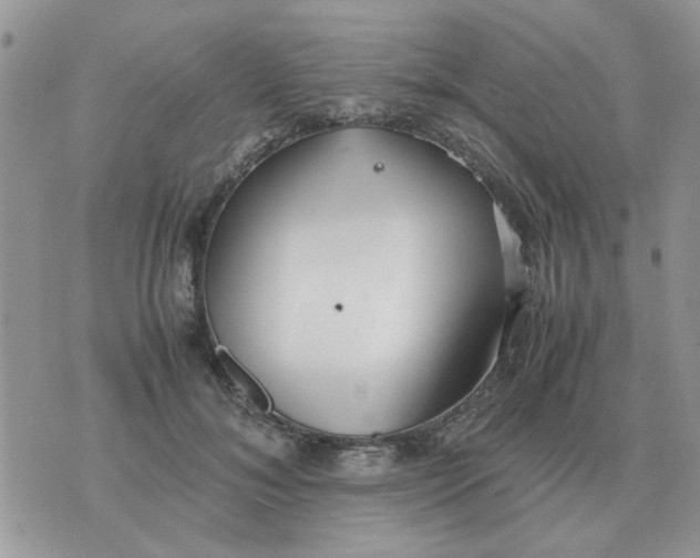 X0000070430700200606302126